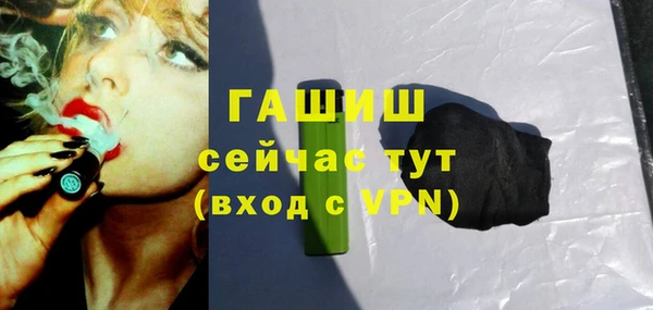 шишки Слюдянка