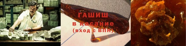 шишки Слюдянка