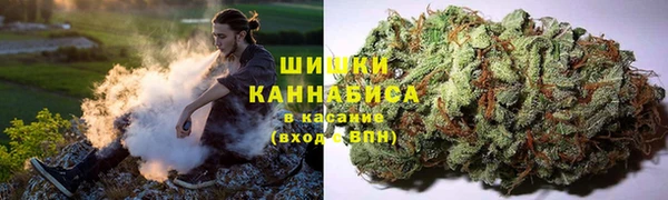 MESCALINE Аркадак